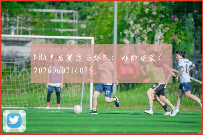 NBA季后赛黑马球队:谁能逆袭?_20260607160251